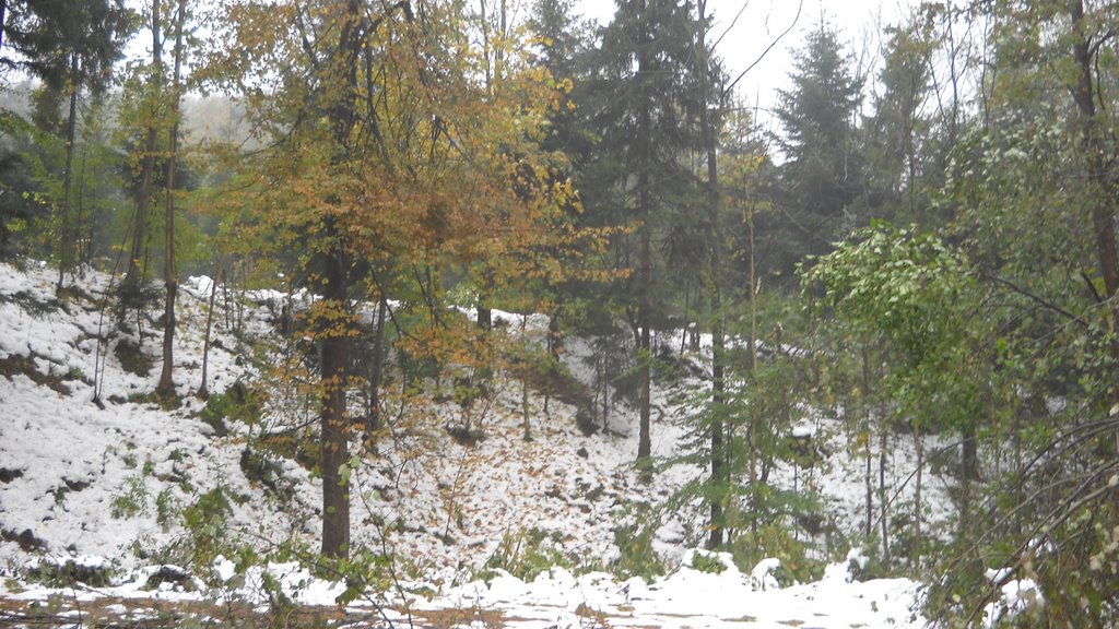 DSCN3391 DSCN3391