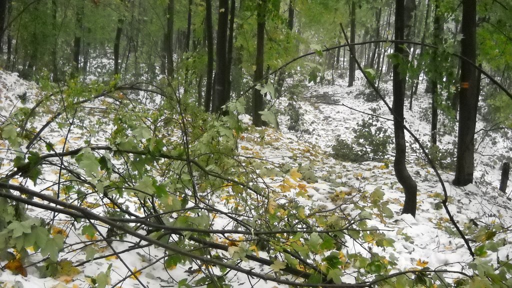 DSCN3440 DSCN3440