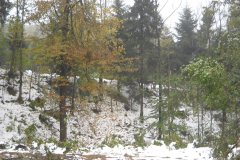 DSCN3391 DSCN3391