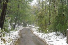 DSCN3392 DSCN3392