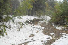 DSCN3406 DSCN3406