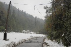 DSCN3417 DSCN3417