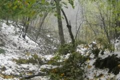 DSCN3425 DSCN3425