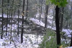 DSCN3441 DSCN3441