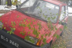 DSCN3479 DSCN3479