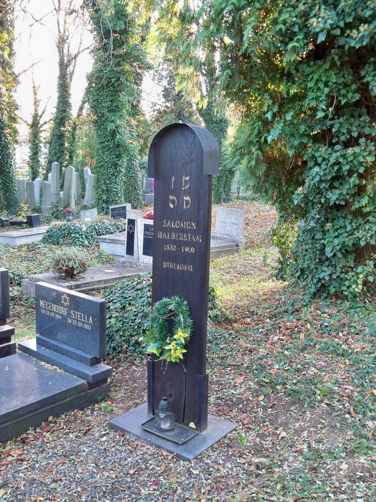 bielskirkut4