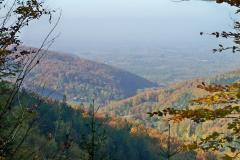 Widok Widok