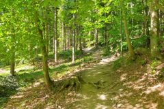 travelseriespl boracza lipowska rysianka02 travelseriespl boracza lipowska rysianka02