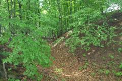 archeopark17 archeopark17