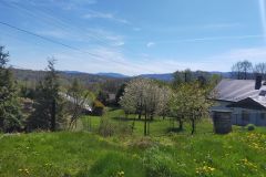 widok widok