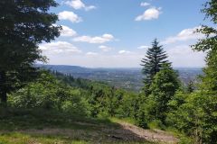Panorama Panorama