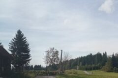 Panorama Panorama