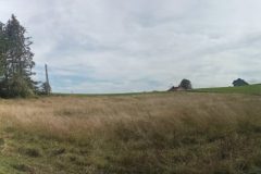Panorama Panorama