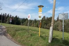widok widok