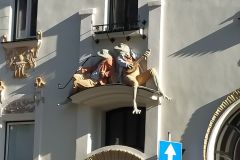 żaby żaby