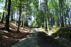 wendelin-rudzica2 wendelin-rudzica2