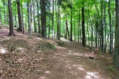 travelseriespl kozia gora bystra10 travelseriespl kozia gora bystra10