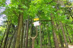 travelseriespl kozia gora bystra11 travelseriespl kozia gora bystra11