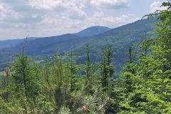 travelseriespl kozia gora bystra28 travelseriespl kozia gora bystra28