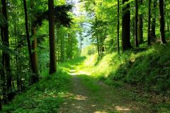 travelseriespl kozia gora bystra32 travelseriespl kozia gora bystra32