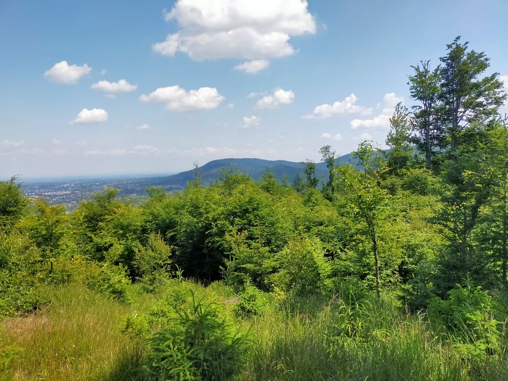 travelseriespl kozia gora bystra14 travelseriespl kozia gora bystra14