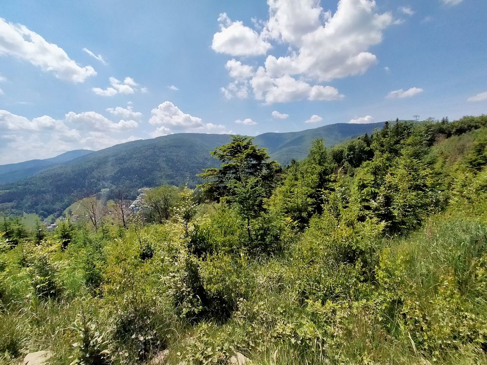 travelseriespl kozia gora bystra23 travelseriespl kozia gora bystra23