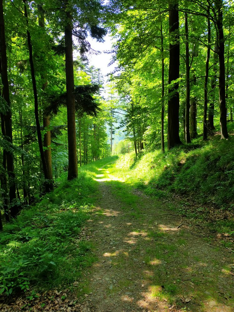 travelseriespl kozia gora bystra32 travelseriespl kozia gora bystra32