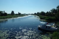 widok widok
