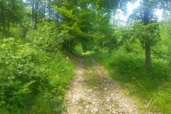 travelseriespl nowy swiat02 travelseriespl nowy swiat02
