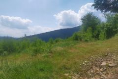 travelseriespl nowy swiat03 travelseriespl nowy swiat03