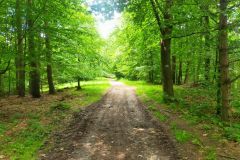 travelseriespl nowy swiat17 travelseriespl nowy swiat17