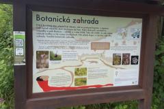 botaniczny9 botaniczny9
