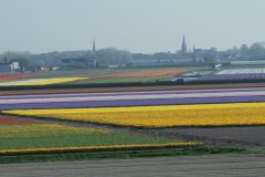 119_5591 119_5591
