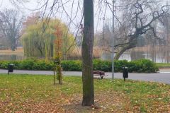jesień jesień