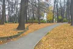 park park