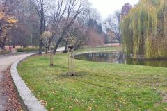 staw staw