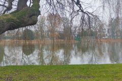 staw staw