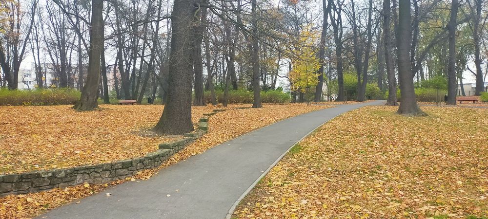 travelseries roth11 park
