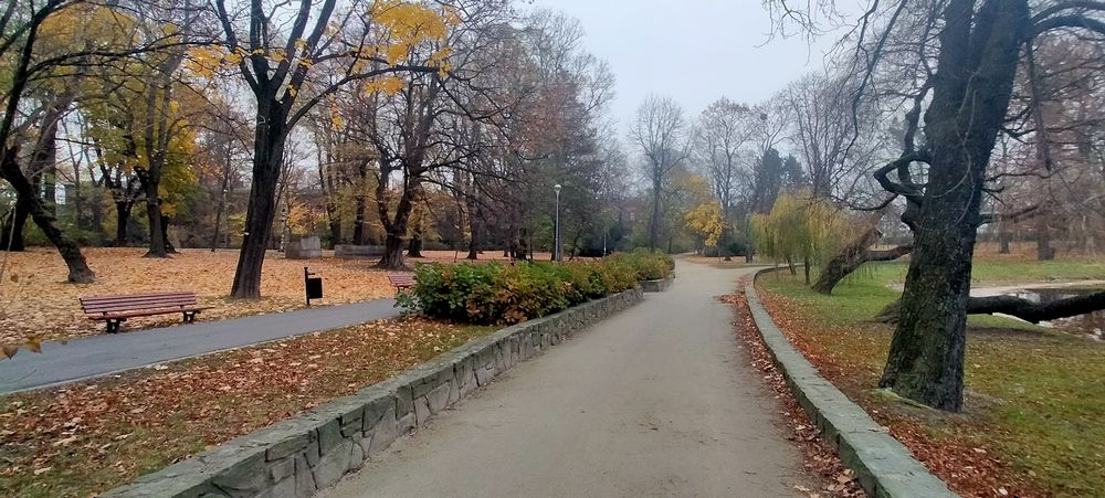 travelseries roth34 park