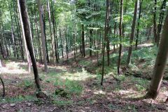 Na szlaku Przegibek - Magurka Na szlaku Przegibek - Magurka