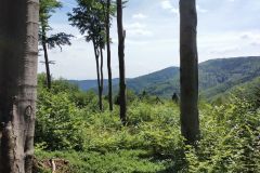 travelseriespl petla przegibek16 travelseriespl petla przegibek16