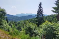 travelseriespl przegibek gaiki11 travelseriespl przegibek gaiki11