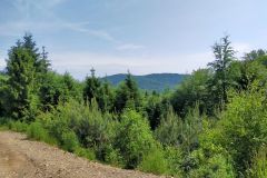 travelseriespl przegibek gaiki13 travelseriespl przegibek gaiki13