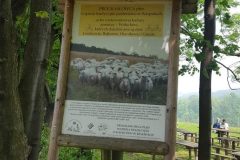 bucze4-e1530712649911 bucze4-e1530712649911