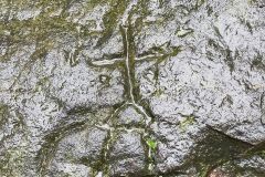 Skała Czarownic - ryt Skała Czarownic - ryt