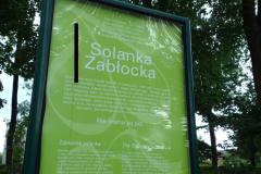 solanka3 solanka3