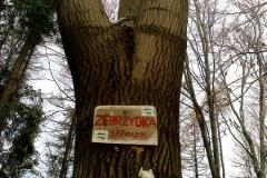 Zebrzydka Zebrzydka