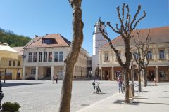 trenczyn25 trenczyn25