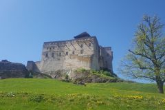 trenczyn83 trenczyn83