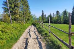 W drodze na Magurkę Wilkowicką W drodze na Magurkę Wilkowicką